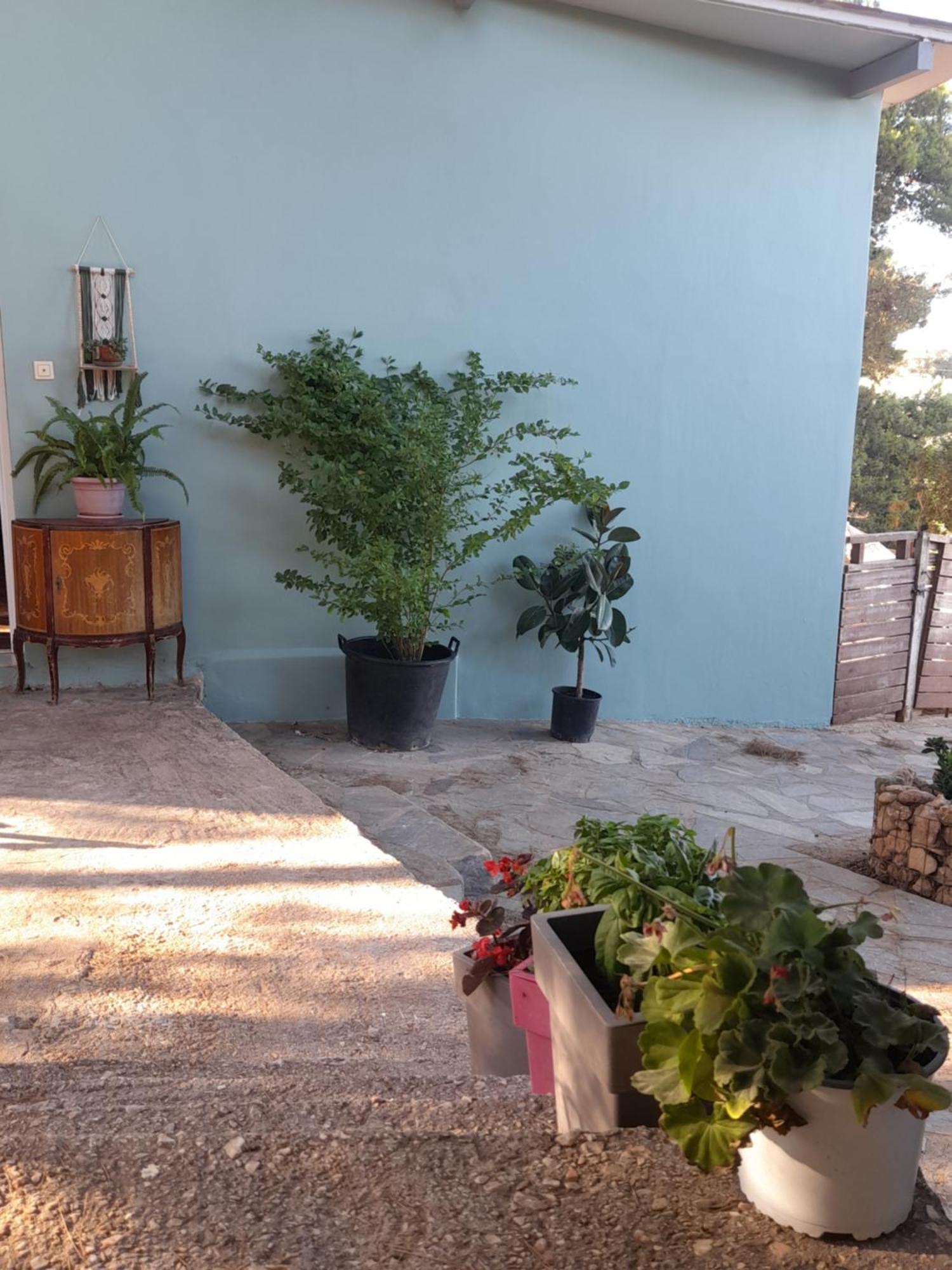 Elena'S Farm House Near Airport And Artemida Beach Exteriér fotografie